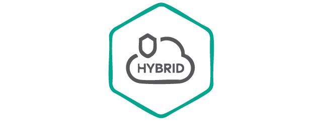 Kaspersky Hybrid Cloud Security imagen-adobe