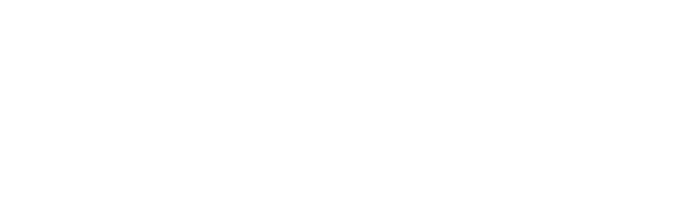 CHECK POINT